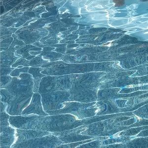 Meet your Posher, Bella